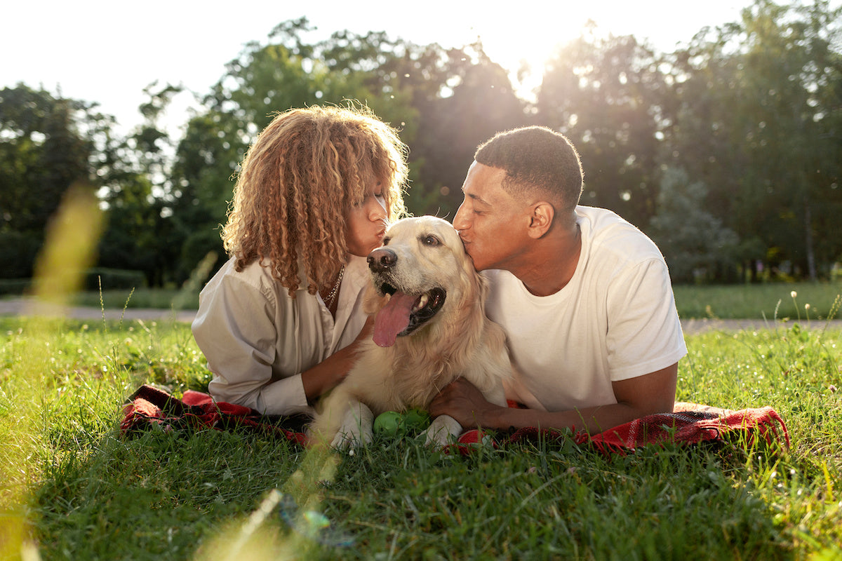 happy dogs eat human grade dog food